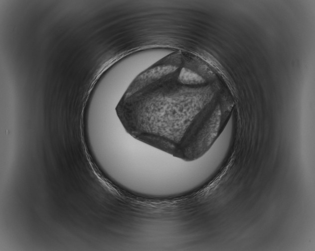 X0000087000842200705071504