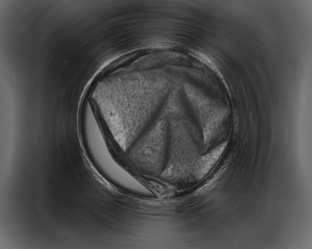 X0000087000843200705071504