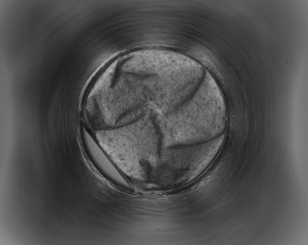 X0000087000844200705071504