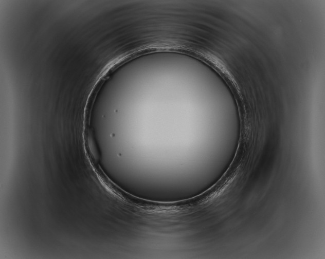 X0000087000845200705071504