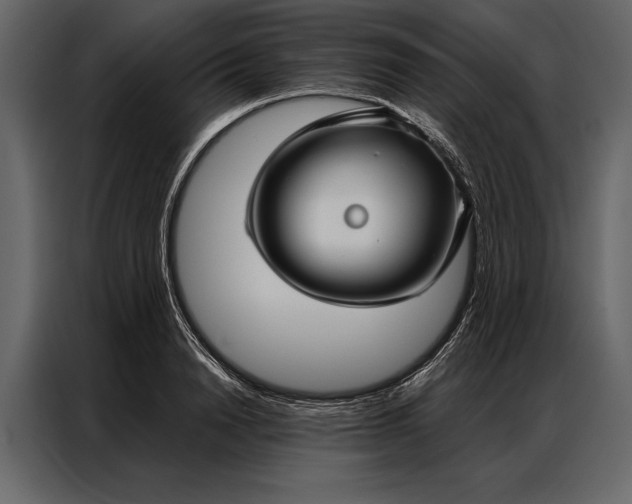 X0000087000846200705071504