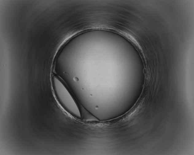 X0000087000847200705071504