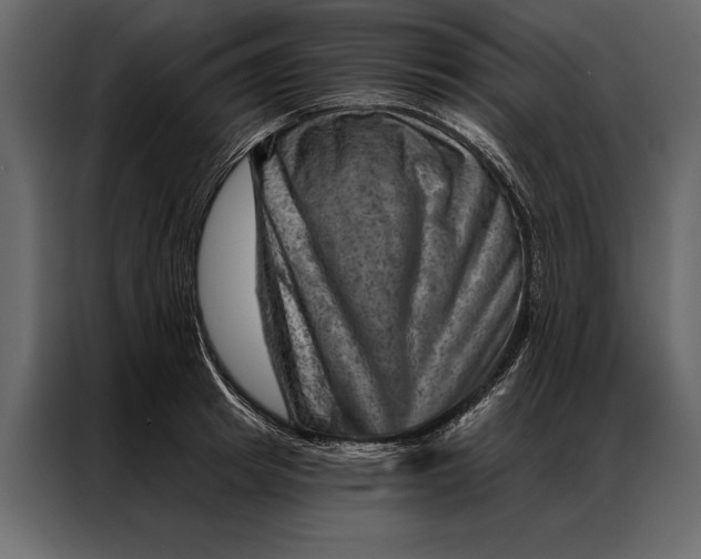 X0000087000849200705071504