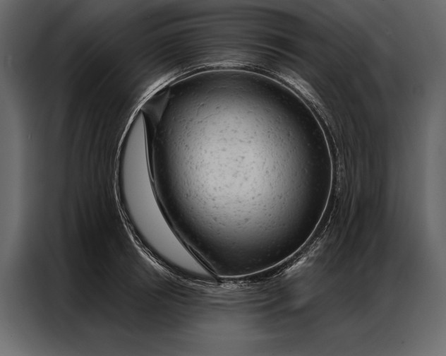 X0000087000850200705071504