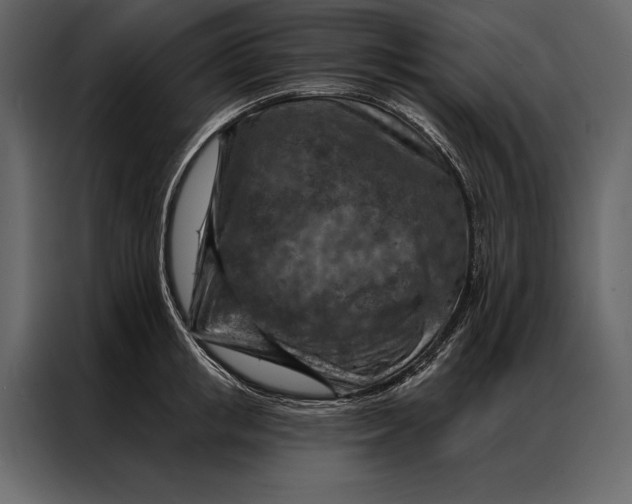 X0000087000853200705071504