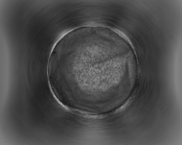 X0000087000855200705071504