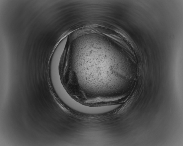 X0000087000858200705071504