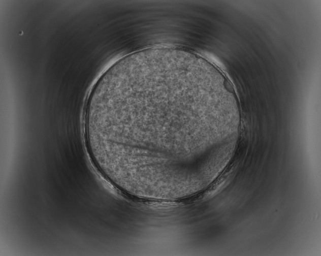 X0000087000859200705071504