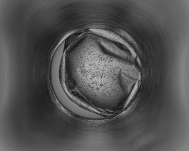 X0000087000860200705071504