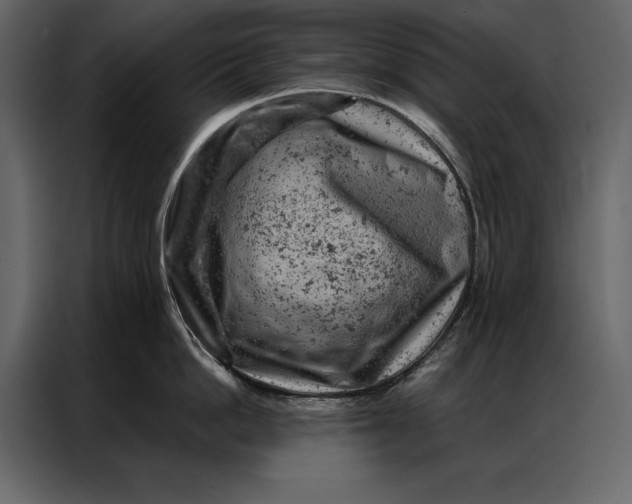 X0000087000862200705071505