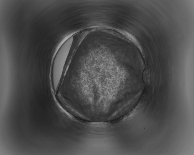 X0000087000863200705071505