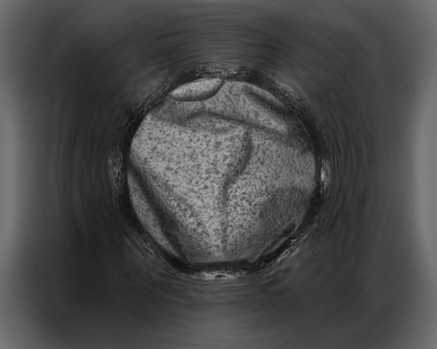 X0000087000867200705071504