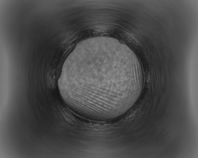 X0000087000868200705071504