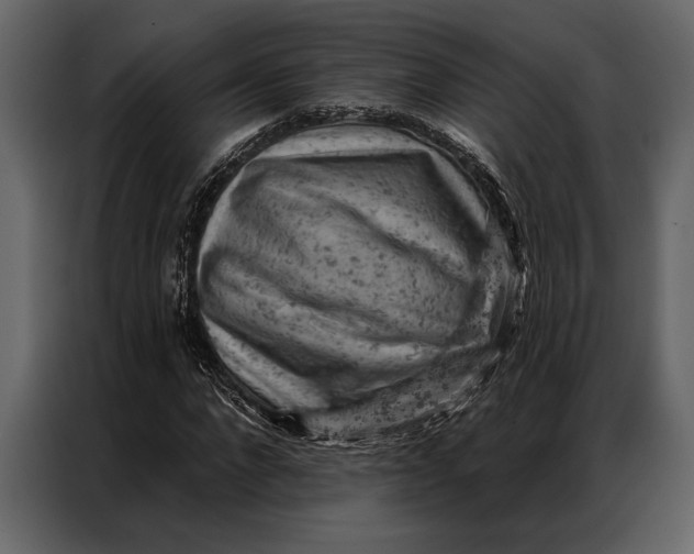 X0000087000872200705071504