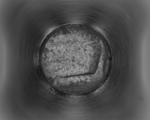 X0000087000875200705071504