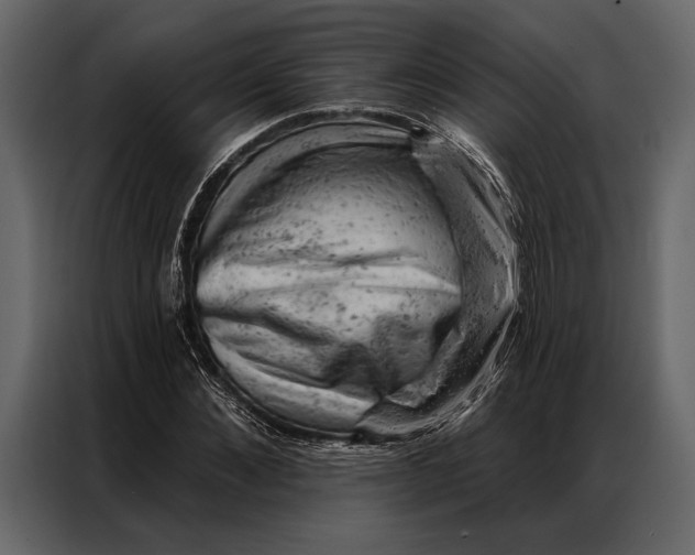 X0000087000876200705071504