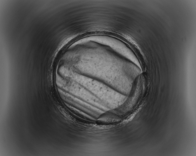 X0000087000877200705071504