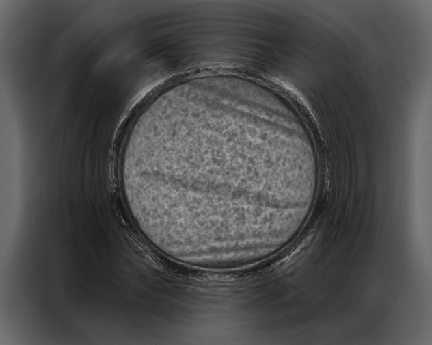 X0000087000878200705071504