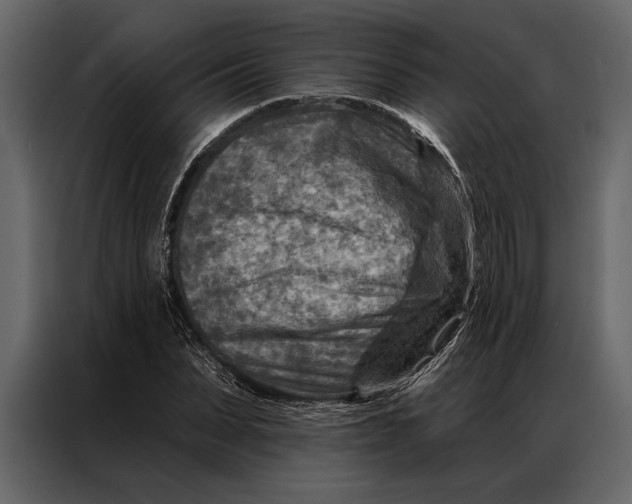 X0000087000879200705071504