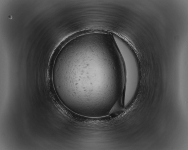 X0000087000880200705071504