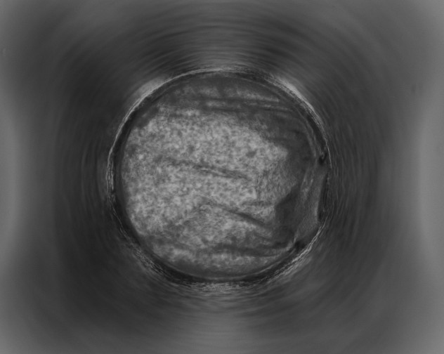 X0000087000883200705071504