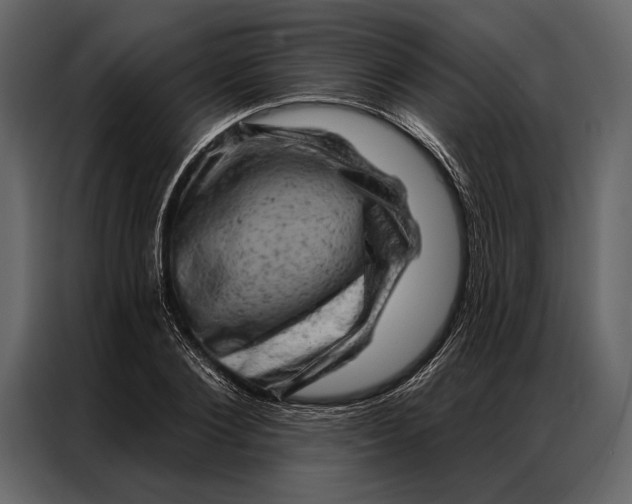 X0000087000884200705071504