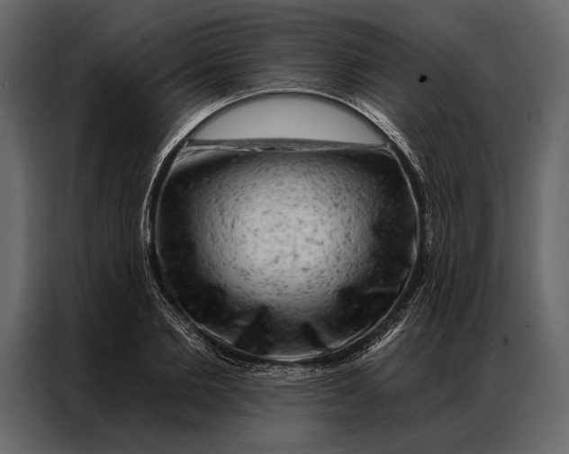 X0000087000885200705071504