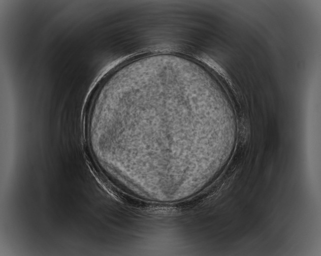 X0000087000886200705071504