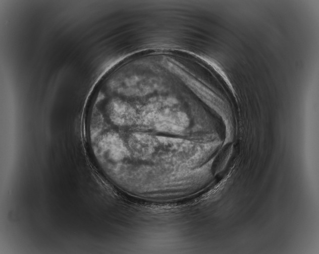 X0000087000887200705071504