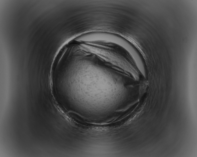 X0000087000888200705071504