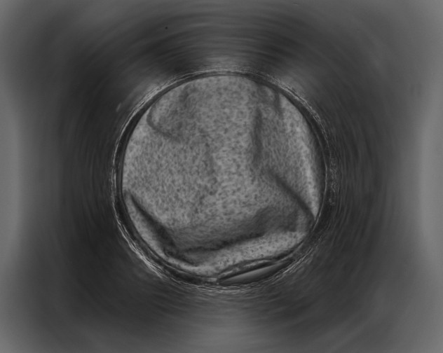 X0000087000890200705071504