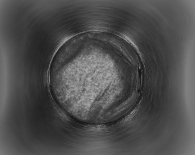 X0000087000891200705071504