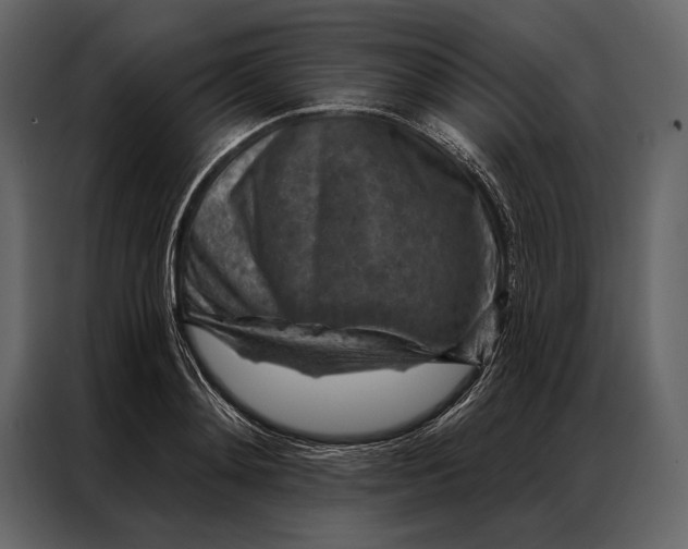 X0000087000892200705071504