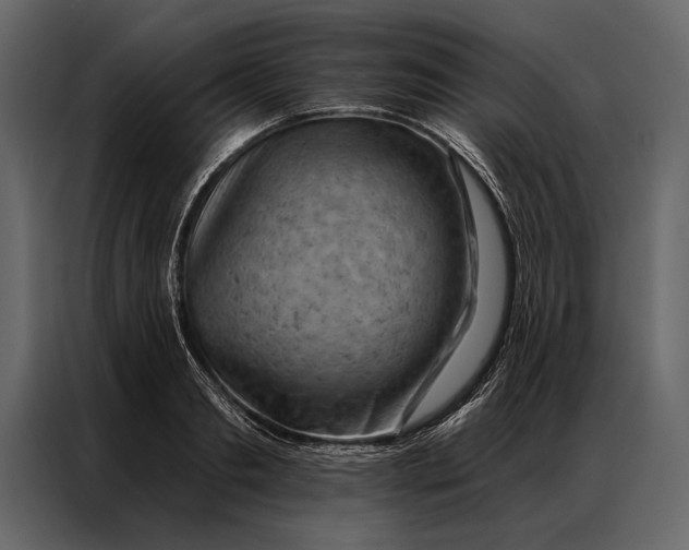 X0000087000893200705071504