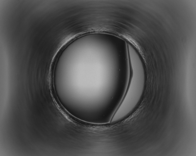 X0000087000894200705071504