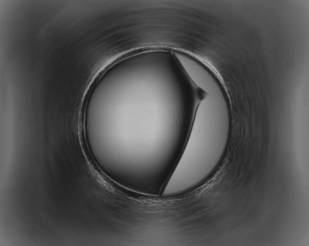 X0000087000895200705071504