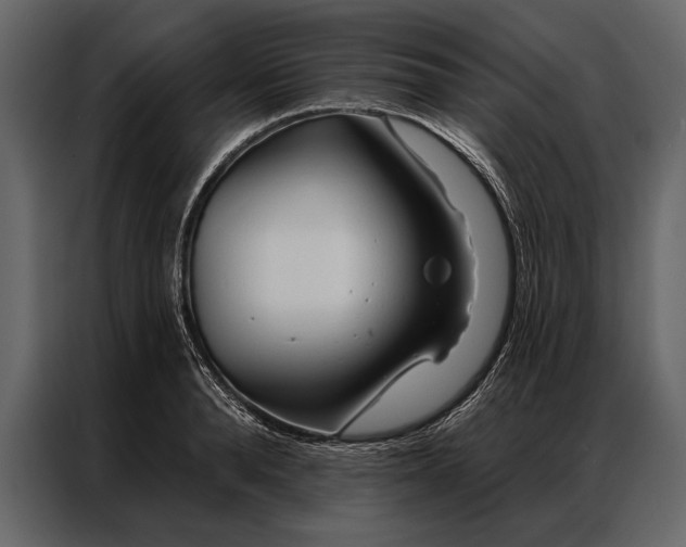 X0000087000896200705071504