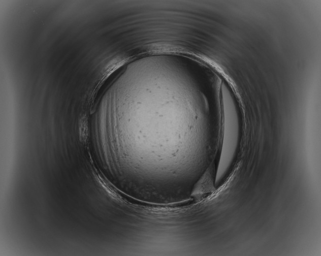 X0000087000897200705071504