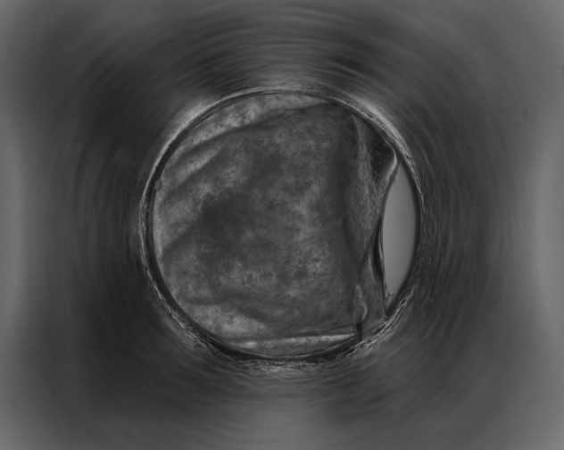 X0000087000899200705071503