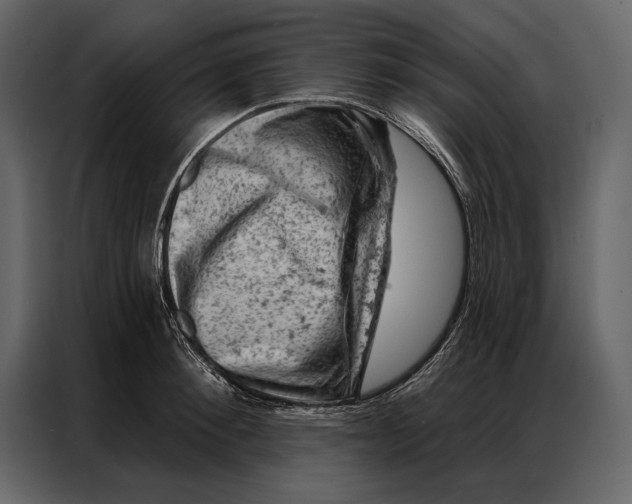 X0000087000900200705071503