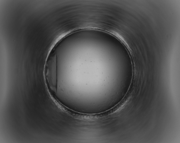 X0000087000901200705071503