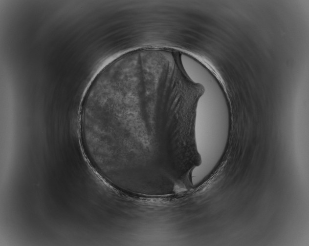 X0000087000903200705071503