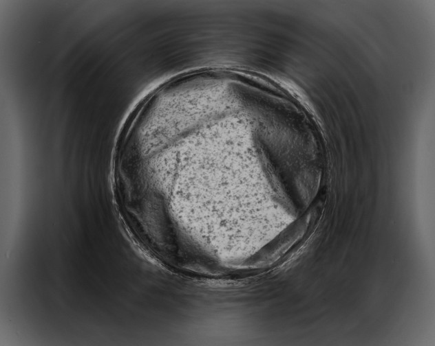 X0000087000904200705071503