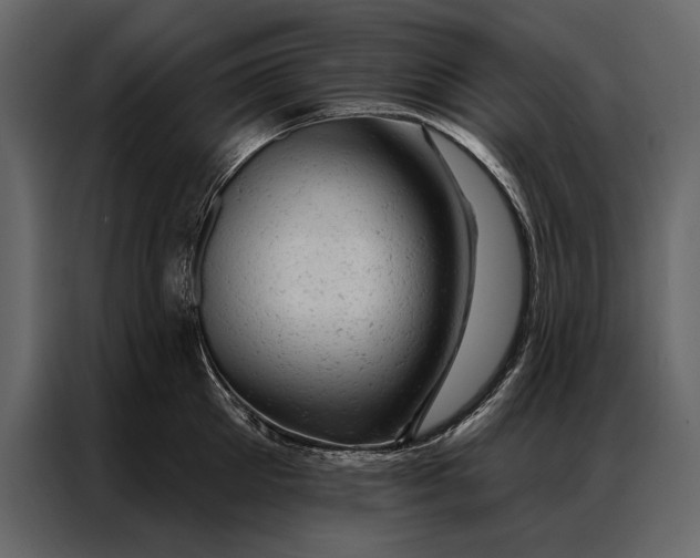 X0000087000905200705071503