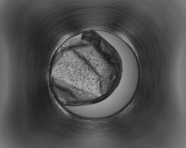 X0000087000906200705071503