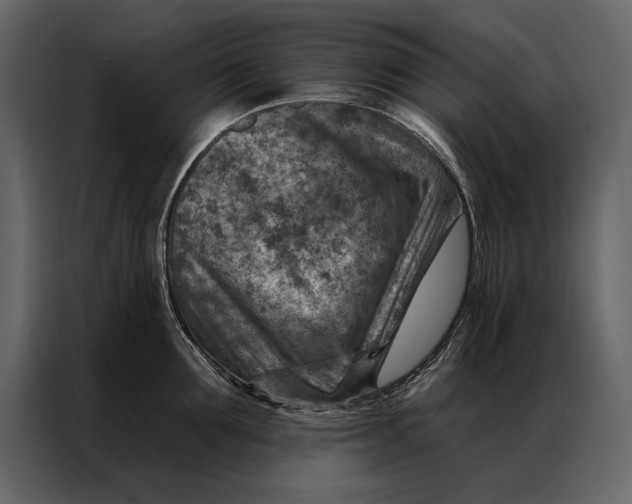 X0000087000907200705071503