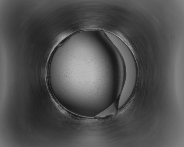 X0000087000909200705071503