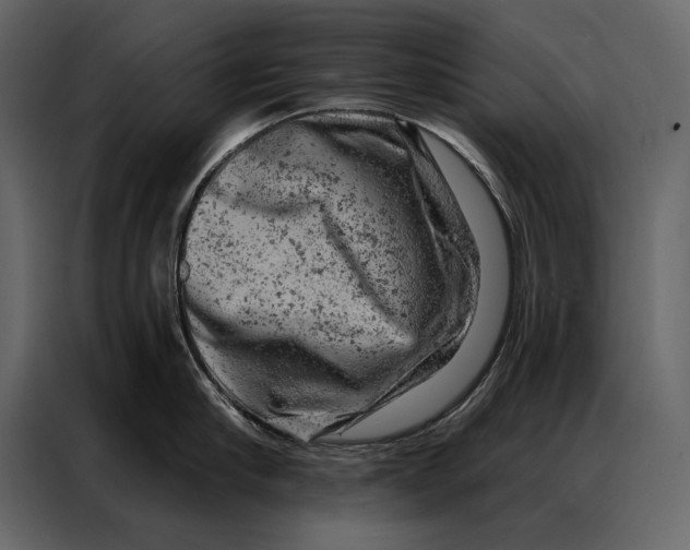 X0000087000910200705071503