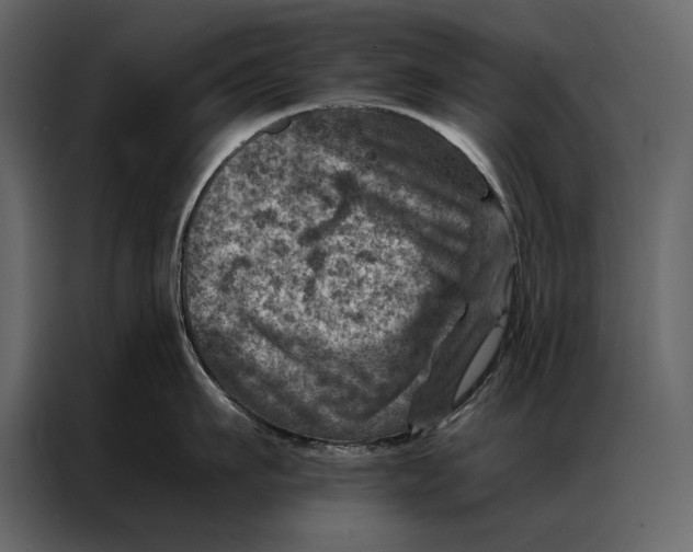 X0000087000911200705071503