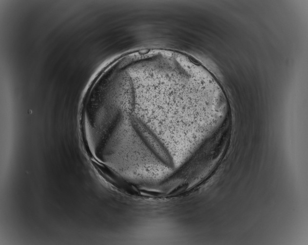 X0000087000912200705071503